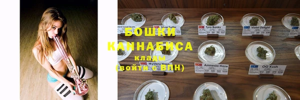 дурь Пестово