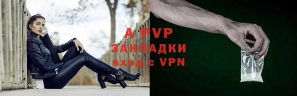 крисы Пересвет
