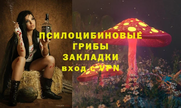 дурь Пестово