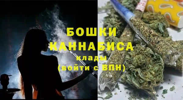 крисы Пересвет