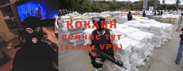 дурь Пестово