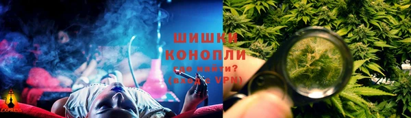 крисы Пересвет