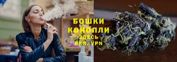 крисы Пересвет